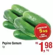 Oferta de Rs - Pepino Comum por R$1,98 em Fort Atacadista