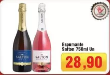 Oferta de Salton - Espumante por R$28,9 em Spani Atacadista