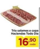 Oferta de Trio -  Salames E Copa Haciendas por R$16,9 em Carrefour