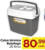 Oferta de Térmica - Caixa por R$80,99 em Carrefour