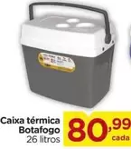 Oferta de Térmica - Caixa por R$80,99 em Carrefour