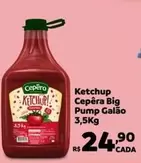 Oferta de Cepêra - Ketchup Big Pump Galão 3,5kg por R$24,9 em Max Atacadista