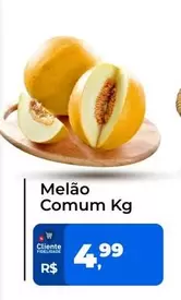 Oferta de Melão Comum por R$4,99 em Tonin Superatacado