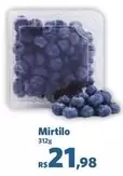 Oferta de Mirtillo por R$21,98 em Sam's Club