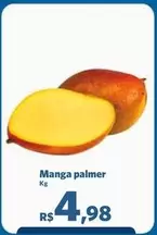 Oferta de Manga Palmer por R$4,98 em Sam's Club