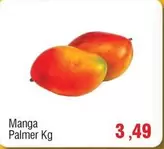 Oferta de Manga Palmer por R$3,49 em Spani Atacadista