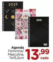 Oferta de Agenda por R$13,99 em Carrefour