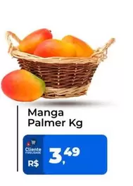 Oferta de Manga Palmer por R$3,49 em Tonin Superatacado