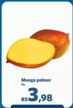 Oferta de Manga Palmer por R$3,98 em Sam's Club