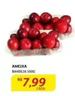 Oferta de Bandeja por R$7,99 em Assaí Atacadista