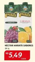 Oferta de Maratá - Néctar por R$5,49 em Assaí Atacadista