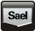 Logo Sael